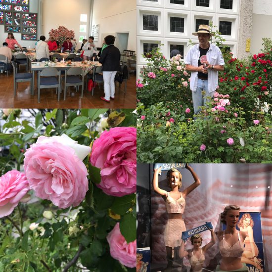 Schöne Rosen – Starke Frauen