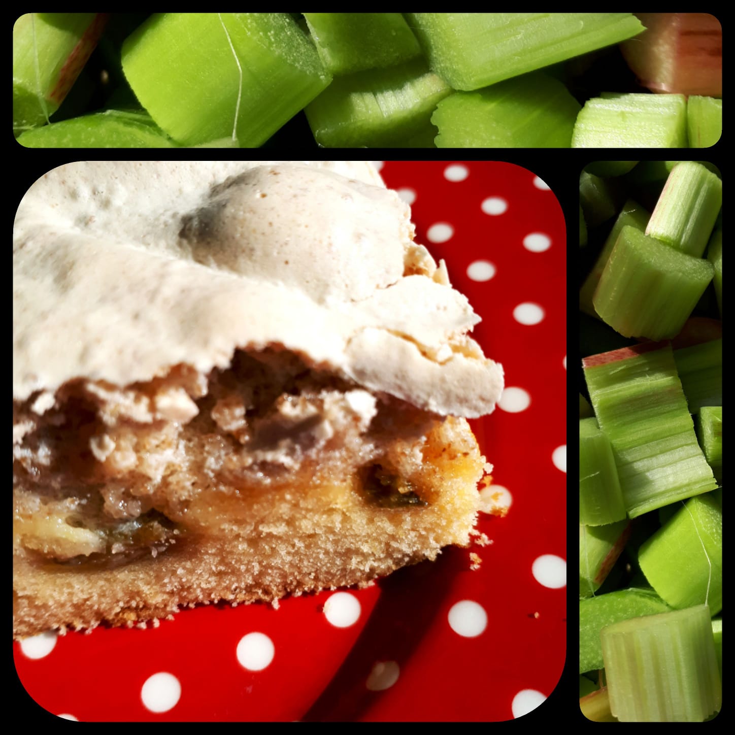Rhabarberkuchen mit Zwiebackbaiser – LandFrauenverein Oberrot
