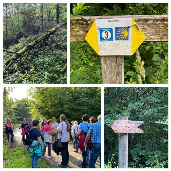 Wanderung Frankenberg – Obermühle