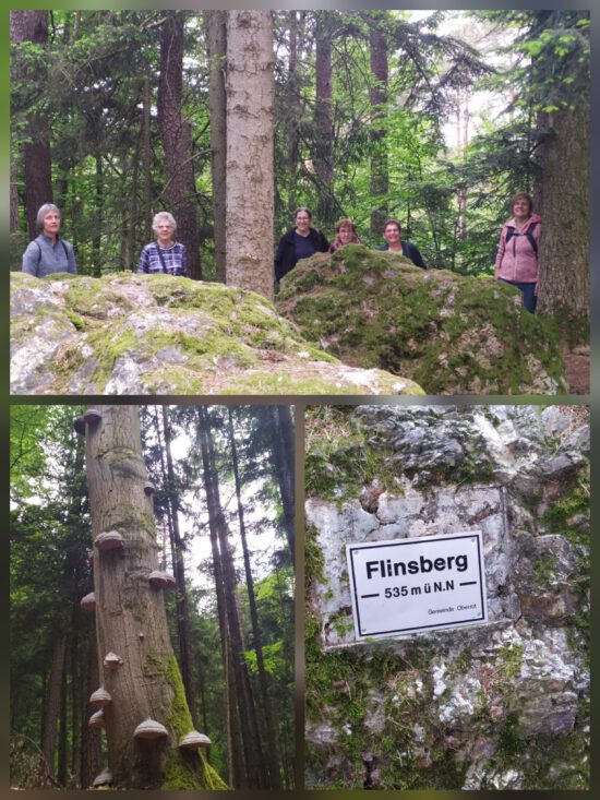 Freitagswanderung