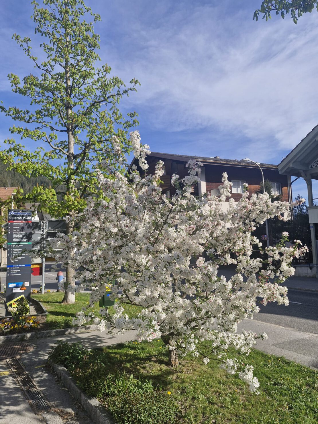 IMG-20260427-WA0000